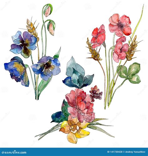 Wildflower Bouquet Floral Botanical Flowers Watercolor Background Set Isolated Wildflower