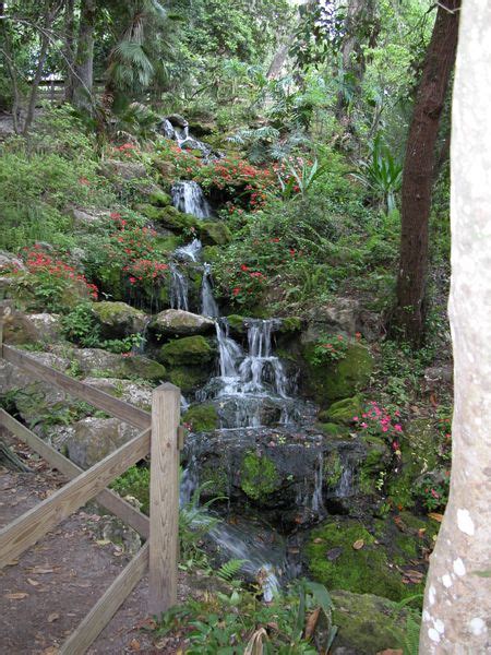 Cascading waterfall Rainbow Springs | Florida state parks, State parks ...