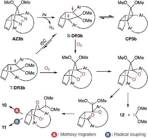 scheme  proposed oxidation mechanism  scientific diagram