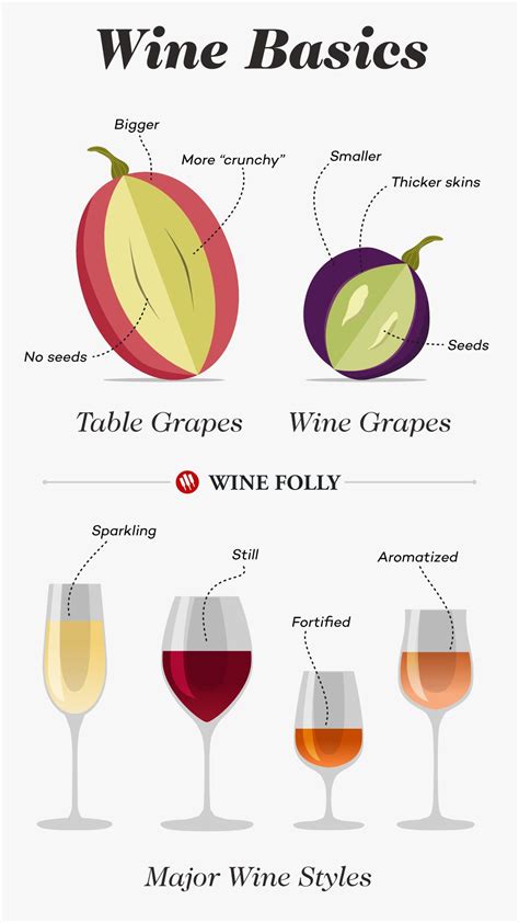 Wine 101 Learn The Basics A Beginners Guide To Drinking Wine Wine Folly Wine Basics Wine