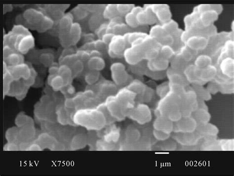 Synthesis Of Polypyrrole Using Ferric Chloride Fecl As Oxidant