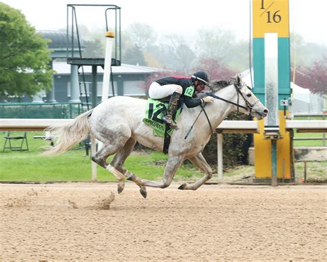 2023 Arkansas Derby Cheat Sheet | America's Best Racing