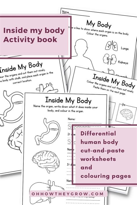 The Inside My Body Activity Book Is Shown In Four Different Colors And