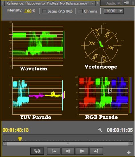 Video Tutorial Maximizing Brightness And Contrast In Adobe Premiere