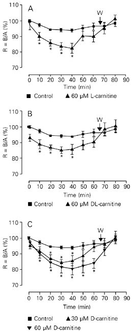 SciELO Brasil L And DL Carnitine Induce Tetanic Fade In Rat