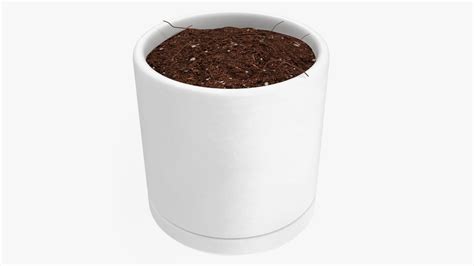 White Flower Pot With Soil D Turbosquid