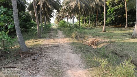 Agricultural Land Sq Ft For Sale In Madhurandagam Chennai