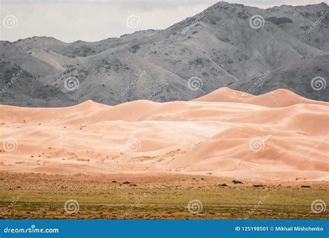 Sand dunes in Gobi desert stock image. Image of summer - 125198501