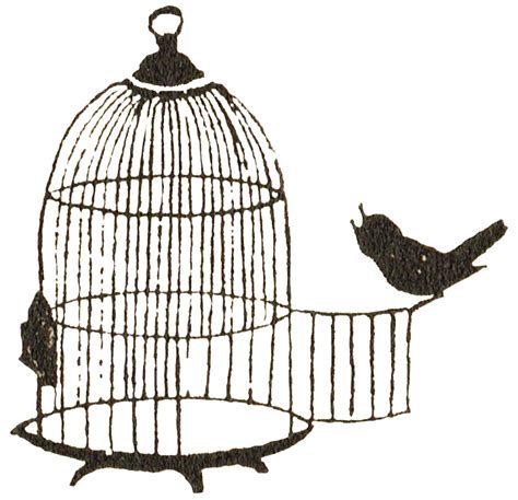 Antique Graphics Wednesday Bird And Birdcage Knick Of Time