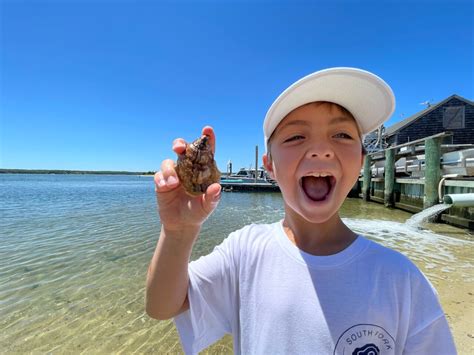 Meet The Modern Farmers Creating Public Oyster Gardens Modern Farmer