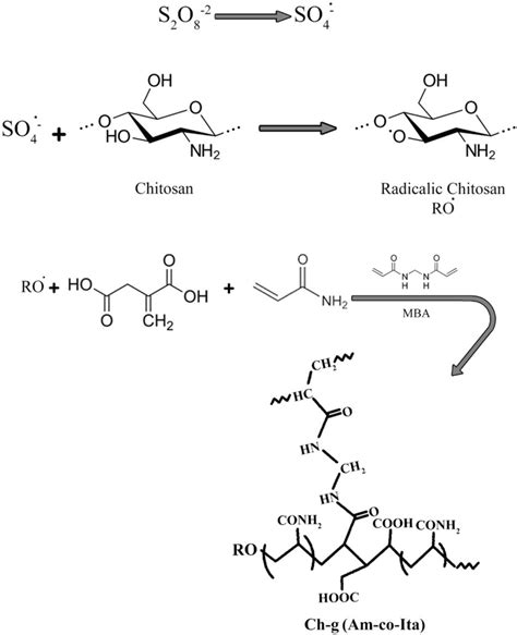 Polymerization Reaction Mechanism Of Grafting Acrylamide And Itaconic