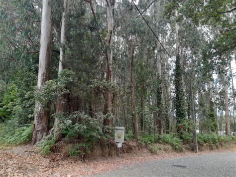 Terreno Venda Na Rua Da Ind Stria Vilar De Pinheiro Vila Do Conde