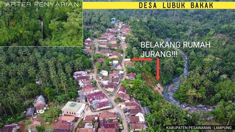 Pesona Desa Lubuk Bakak Pesawaran Lampung Buka Pintu Rumah Belakang