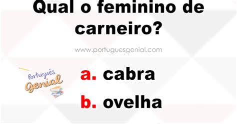 O Feminino De Carneiro - Feminino de carneiro - Qual é o feminino de carneiro? | Português Genial