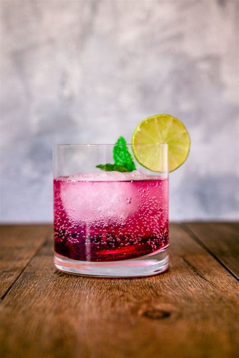 Blueberry Gin And Tonic Refreshing Summer Gin And Tonic With Twist