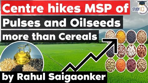 Minimum Support Price For Pulses And Oilseeds Hiked By Centre