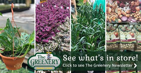 Get Your Garden Ready For Spring The Greenery Garden Centre