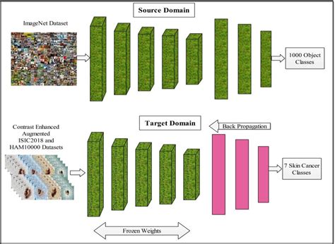 Figure 3 From Multiclass Skin Lesion Classification Using Hybrid Deep