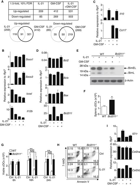 The Cytokines Il 21 And Gm Csf Have Opposing Regulatory Roles In The