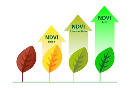 Ndvi Fatos Que Voc Precisa Conhecer Agricultura Do Futuro