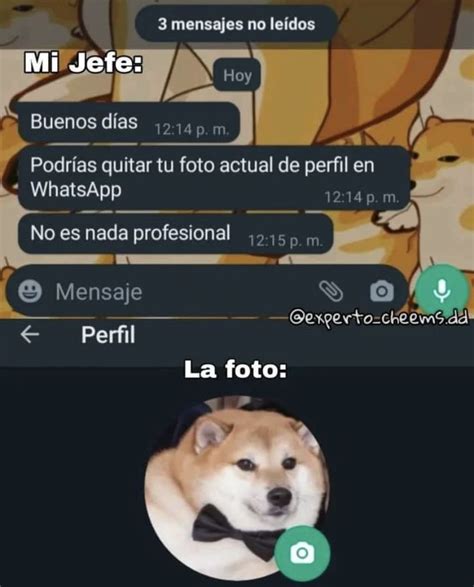 Pin De Portgas D Mei En Funny Chistes Comicos Memes Chistosisimos