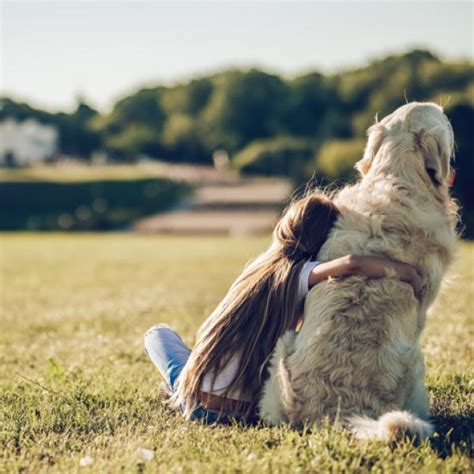 Qu Razas De Perros Son Mejores Con Los Beb S