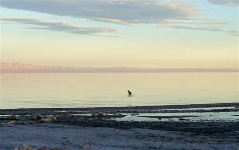 Salton Sea – Smelly Lake in the Desert | Crumbs on Travel