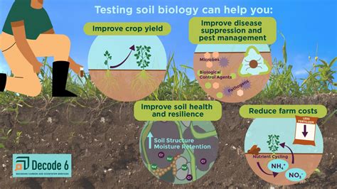 The Four Benefits Of Biological Soil Testing Include Improved Crop