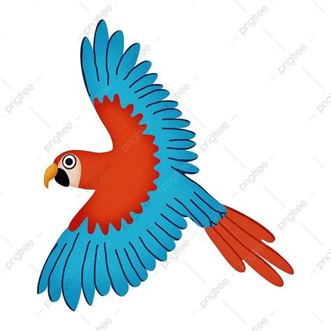 Aves Y Loros De Dibujos Animados Pintados A Mano Png Dibujos Pintado A