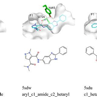 Example Structures For The Three Pde A Binding Mode Classes Protein