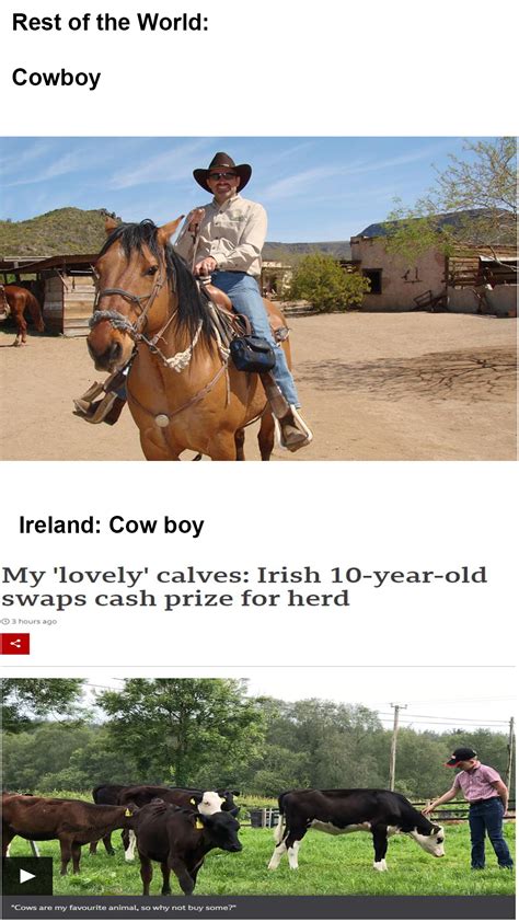 Irish Cowboy : r/memes