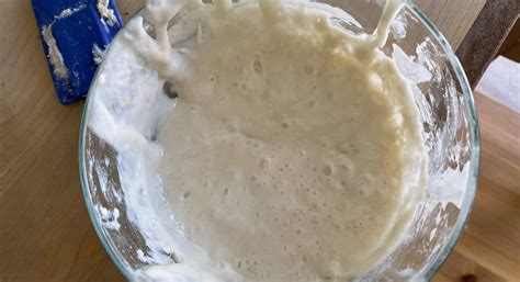 Live Organic Sourdough Starter – Fermenters Club