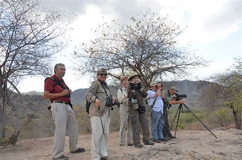 Peter Roberts Group On West Bali Lesser Sundas Birding Tours