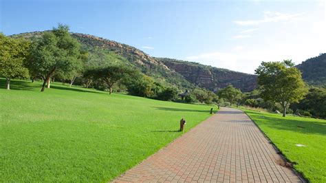 Walter Sisulu National Botanical Garden In Johannesburg Expedia