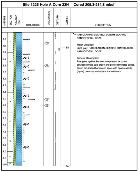 Figure F2 Example Of The Graphical Representation Of Visual Core