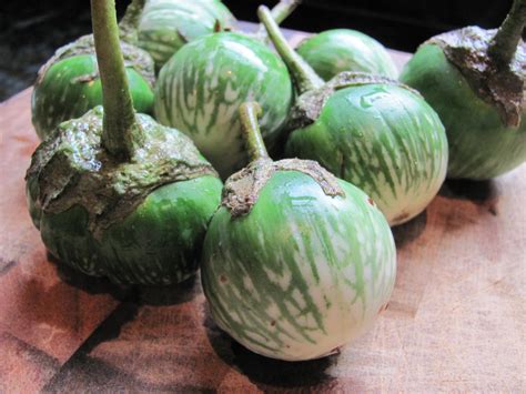 Kermit Eggplant – Asia Seeds