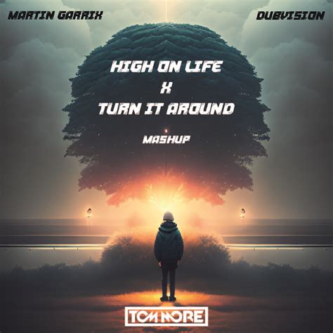 High On Life X Turn It Around Martin Garrix Ft Dubvision Tom More