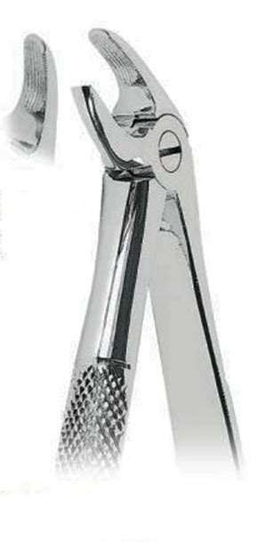 Forceps Dental Asa N Incisivos Y Caninos Inferiores Djl