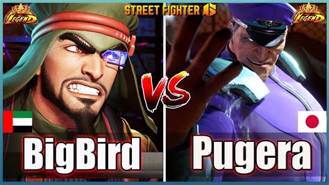 Street Fighter Bigbird Rashid Vs Pugera M Bison Best Room