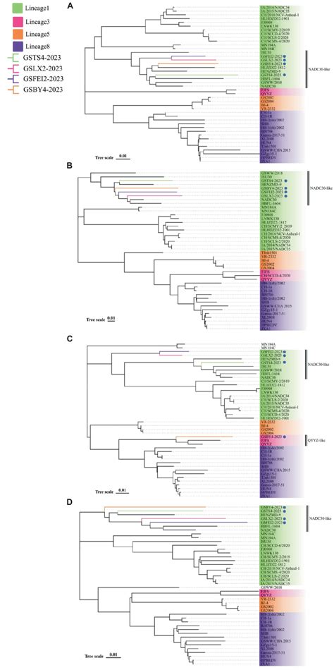 Frontiers Whole Genome Analysis Of The Recombination And Evolution Of