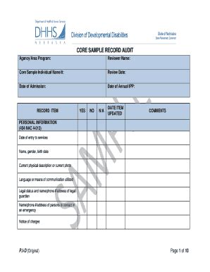 Fillable Online Dhhs Ne Ind Audit Form Dhhs Ne Fax Email Print