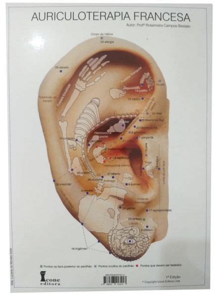 Mapa Auriculoterapia Francesa Na Shopping Da Acupuntura