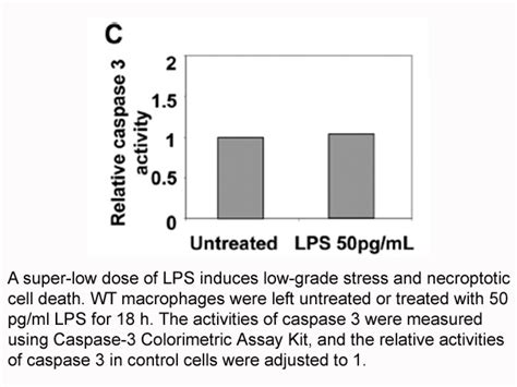 Apexbio Caspase 3 Colorimetric Assay Kit Detects Devd Dependent