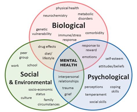 What It Truly Means To Be Healthy The Biopsychosocial Model Of Health