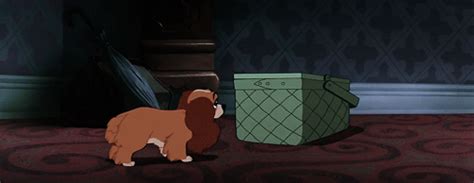 lady and the tramp animation gif | WiffleGif