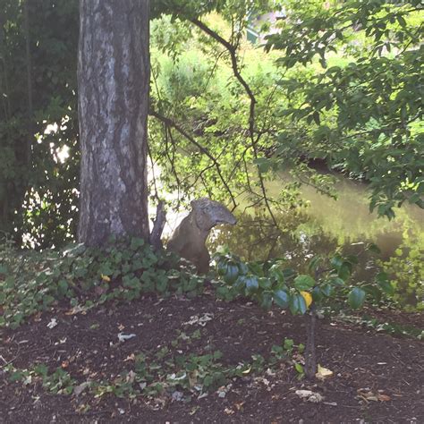 Crystal Palace Dinosaur Park – high days & holidays