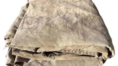 Amateur DB Cooper Investigators Reveal Find From Latest Vancouver Search