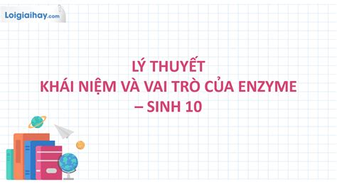 T M Hi U V Kh I Ni M Enzyme V Vai Tr Trong Qu Tr Nh Trao I Ch T