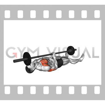 barbell  arm floor press