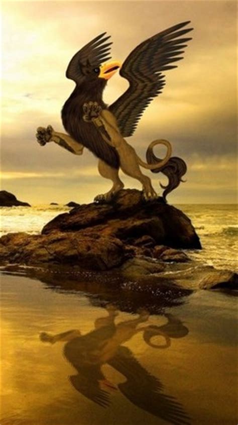 Gryphon - Mythical creatures Photo (28582750) - Fanpop